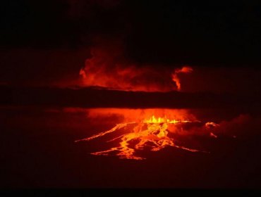 Hace erupción volcán en Galápagos donde está único grupo de iguanas rosadas