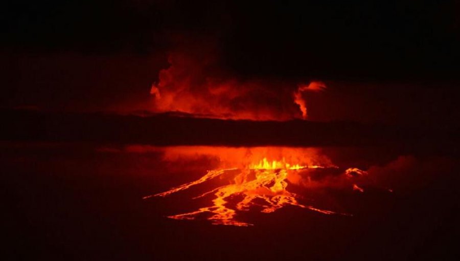 Hace erupción volcán en Galápagos donde está único grupo de iguanas rosadas