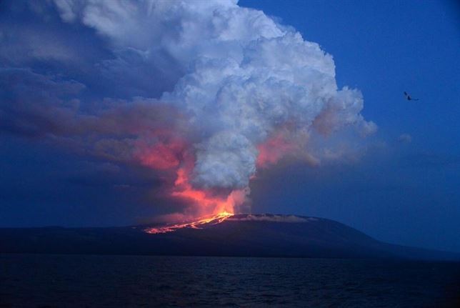 Fauna de Galápagos no se vio afectada por erupción de volcán Wolf