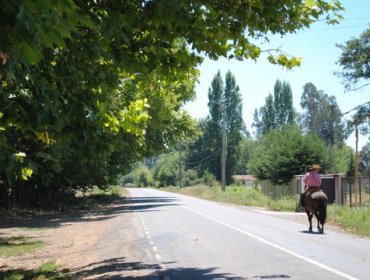 Reducen valor de arriendo de predios agrícolas fiscales en Chimbarongo