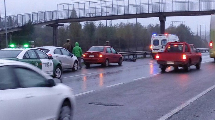 Hombre muere atropellado en la Ruta 5 Sur en las cercanías de Puerto Montt