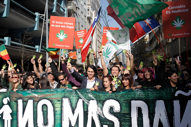 Este domingo se hará la marcha Cultiva Tus Derechos 2015