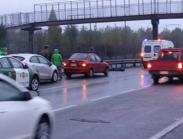 Hombre muere atropellado en la Ruta 5 Sur en las cercanías de Puerto Montt