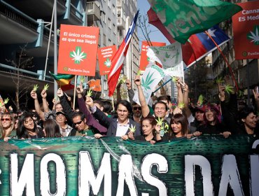 Este domingo se hará la marcha Cultiva Tus Derechos 2015