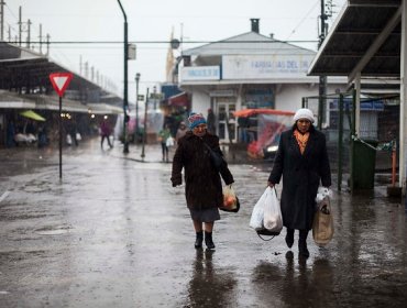 Onemi entrega balance: Más de 40 viviendas afectadas por temporal