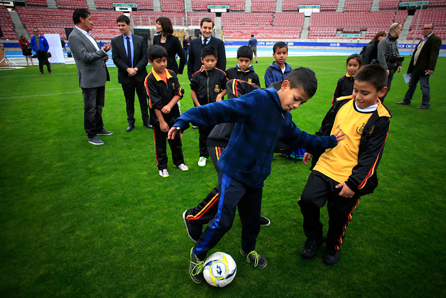 Gobierno pide que Copa América sea fiesta "sin violencia y sin discriminación"