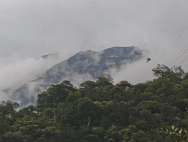 Un total de 19 muertos por el terremoto en el monte malasio Kinabalu