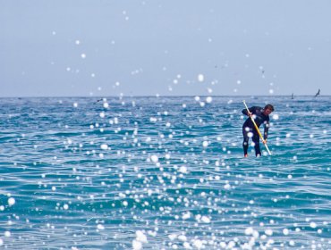 Llega a los rincones más escondidos del océano con Google Street View