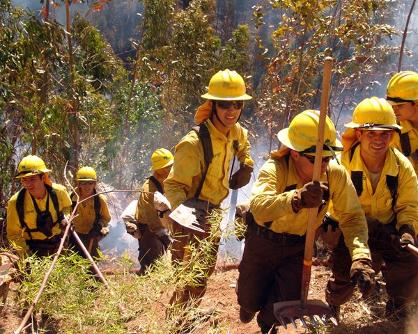 Valparaíso: Conaf se querella por tres incendios forestales