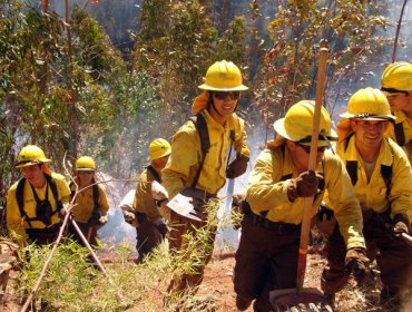 Valparaíso: Conaf se querella por tres incendios forestales