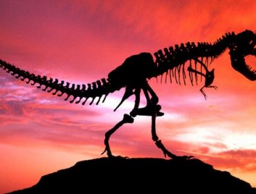 Encuentran células de dinosaurios en fósiles de hace 75 millones de años