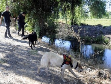 Encuentran cadáver de adulto mayor en un canal de regadío de Vallenar