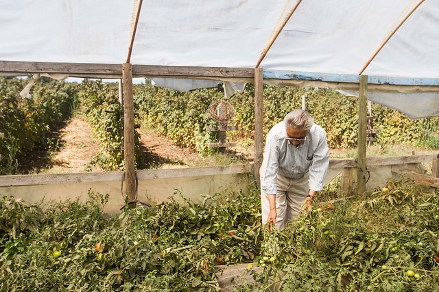 Andrea Molina acusa a diputados de la nueva mayoría de trabajar un código de aguas a espaldas de agricultores