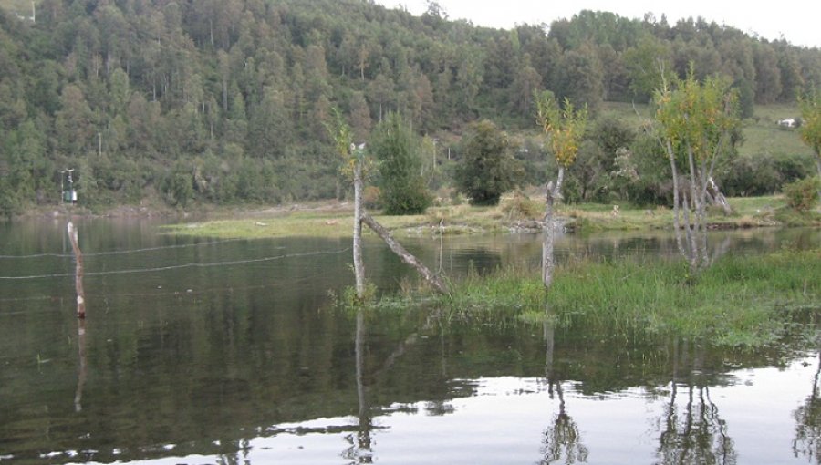 Comunidades mapuche reclaman contra trabajos de futura central Neltume