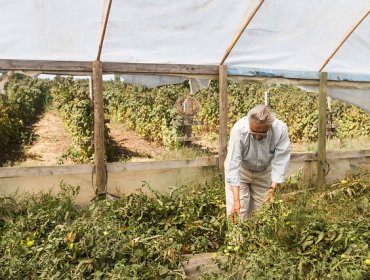 Andrea Molina acusa a diputados de la nueva mayoría de trabajar un código de aguas a espaldas de agricultores