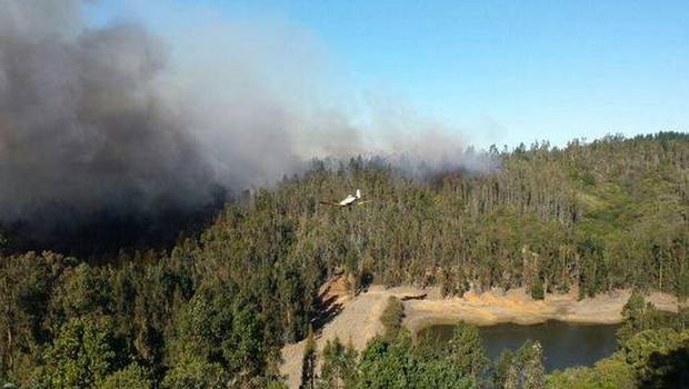 Valparaíso: Onemi declara alerta roja por incendio forestal