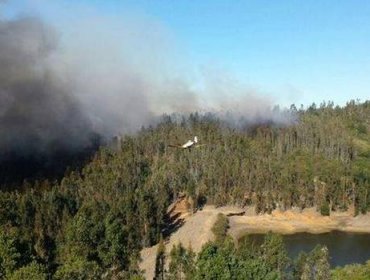 Valparaíso: Onemi declara alerta roja por incendio forestal