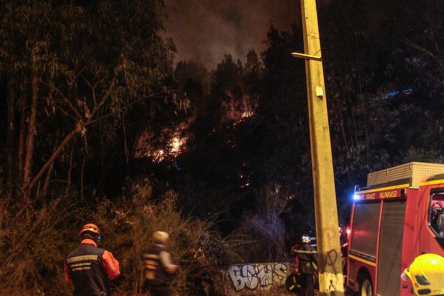 Valparaíso: Bomberos retoman combate al fuego en Quintay