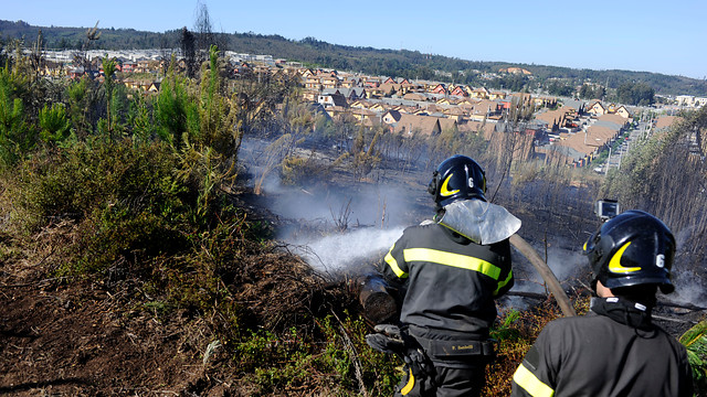 Decretan Alerta Roja en Valparaíso por incendio forestal en Placilla