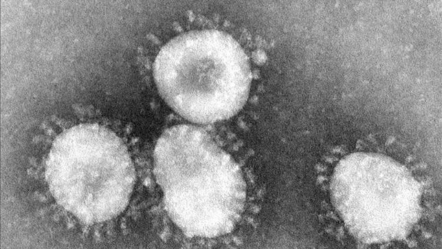 Médicos de China y EEUU desarrollan tratamiento contra coronavirus