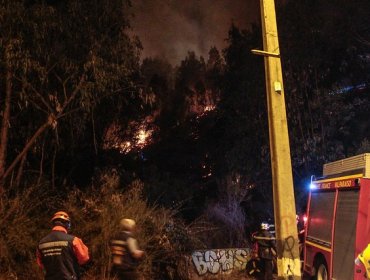 Valparaíso: Bomberos retoman combate al fuego en Quintay