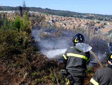 Decretan Alerta Roja en Valparaíso por incendio forestal en Placilla