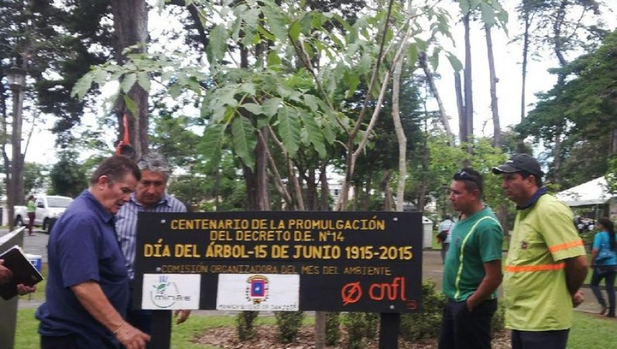 El presidente de Costa Rica celebra el centenario del Día Nacional del Árbol