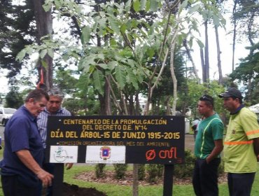 El presidente de Costa Rica celebra el centenario del Día Nacional del Árbol