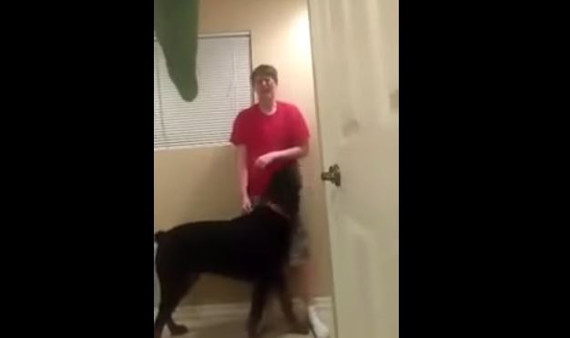 Emocionante viral: Perro Rottweiler detiene crisis de joven con síndrome de Asperger