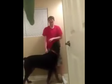 Emocionante viral: Perro Rottweiler detiene crisis de joven con síndrome de Asperger