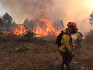 CONAF trabaja en control de “puntos calientes” de incendios forestales de Quilpué y Valparaíso