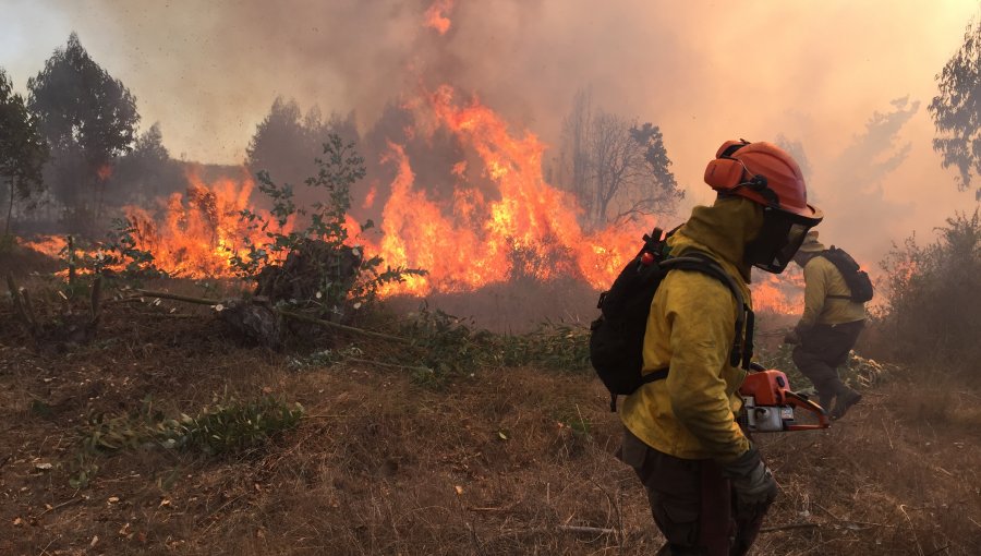 CONAF trabaja en control de “puntos calientes” de incendios forestales de Quilpué y Valparaíso