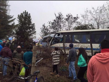 Curicó: Tres muertos y más de 30 heridos dejó choque entre dos minibuses