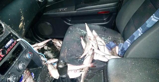 Desconocidos atacaron a funcionarios de Sernapesca en región del Maule