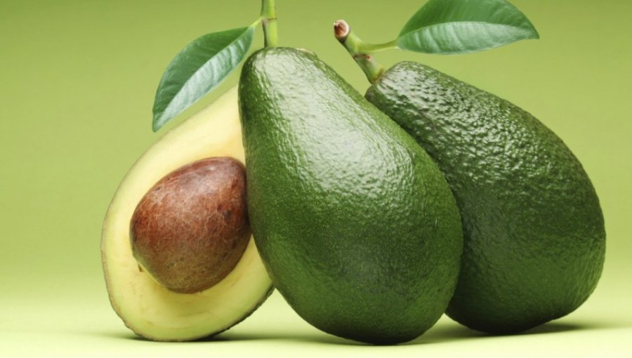 Un derivado de la palta sería eficaz para combatir la leucemia