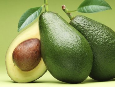 Un derivado de la palta sería eficaz para combatir la leucemia