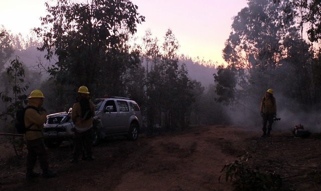 Onemi declara Alerta Roja en Santo Domingo por incendio forestal