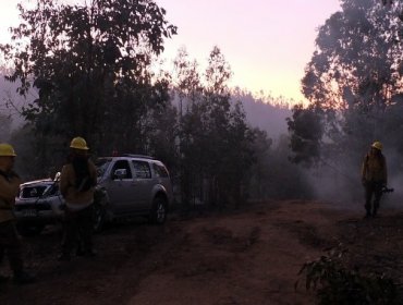 Onemi declara Alerta Roja en Santo Domingo por incendio forestal