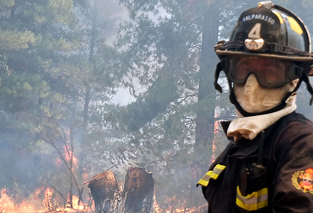 Sigue alerta roja en para la comuna de Valparaíso por incendio forestal