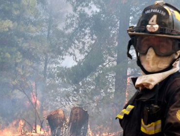 Sigue alerta roja en para la comuna de Valparaíso por incendio forestal