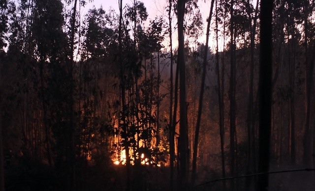 Se mantiene la Alerta Roja por incendios forestales en la región de Valparaíso