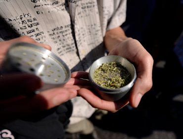 Chile es el mayor consumidor de marihuana en Latinoamérica