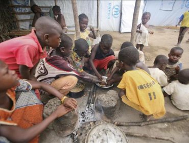 Liberados 48 niños que trabajaban como esclavos en Costa de Marfil