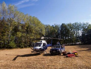 Se levanta Alerta Roja para la comuna de Santo Domingo por incendio forestal