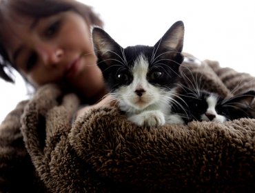 Tradición de pueblo en Portugal: Quemar un gato vivo