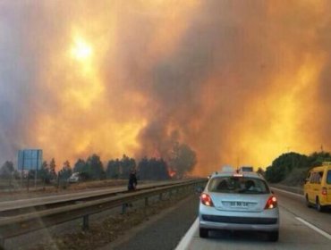 Se mantienen alerta roja por incendio en provincia de Melipilla