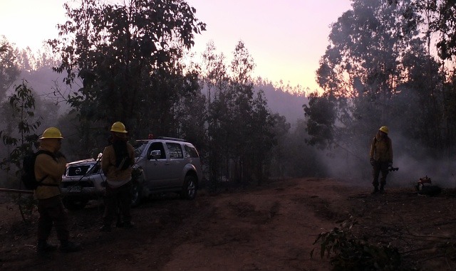 Onemi decreta Alerta Roja en comuna de Valparaíso y Melipilla por incendios forestales