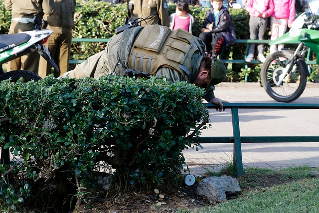 Encuentran feto de 5 meses de gestación en plaza O'Higgins de Valparaíso