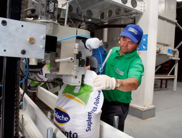 Actividad industrial registra una caída de 1,2% durante el mes de mayo