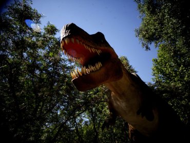 Llega a Chile la muestra “El amanecer de los dinosaurios”